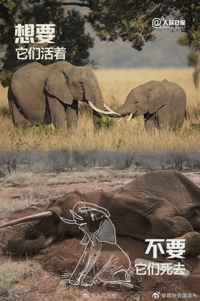 “昆明官渡发布”微博