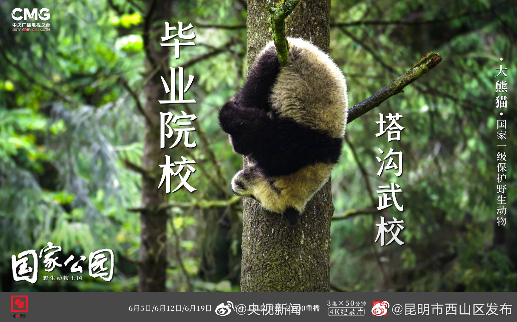 “昆明市西山区发布”微博