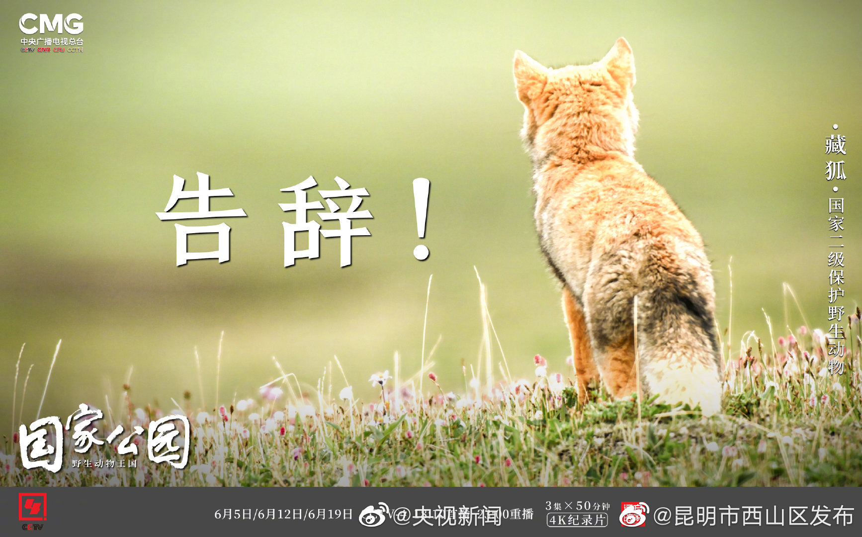 “昆明市西山区发布”微博
