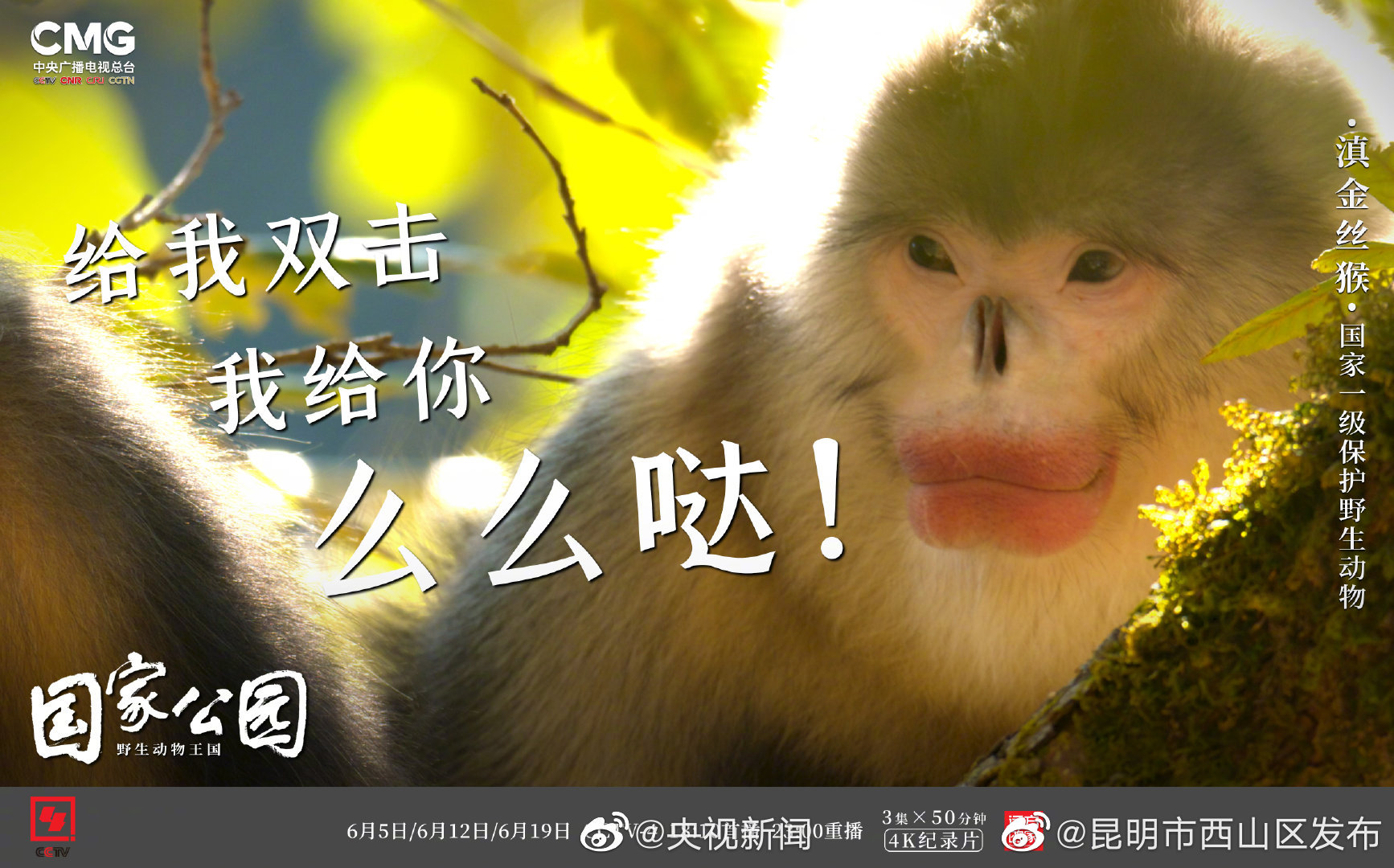 “昆明市西山区发布”微博