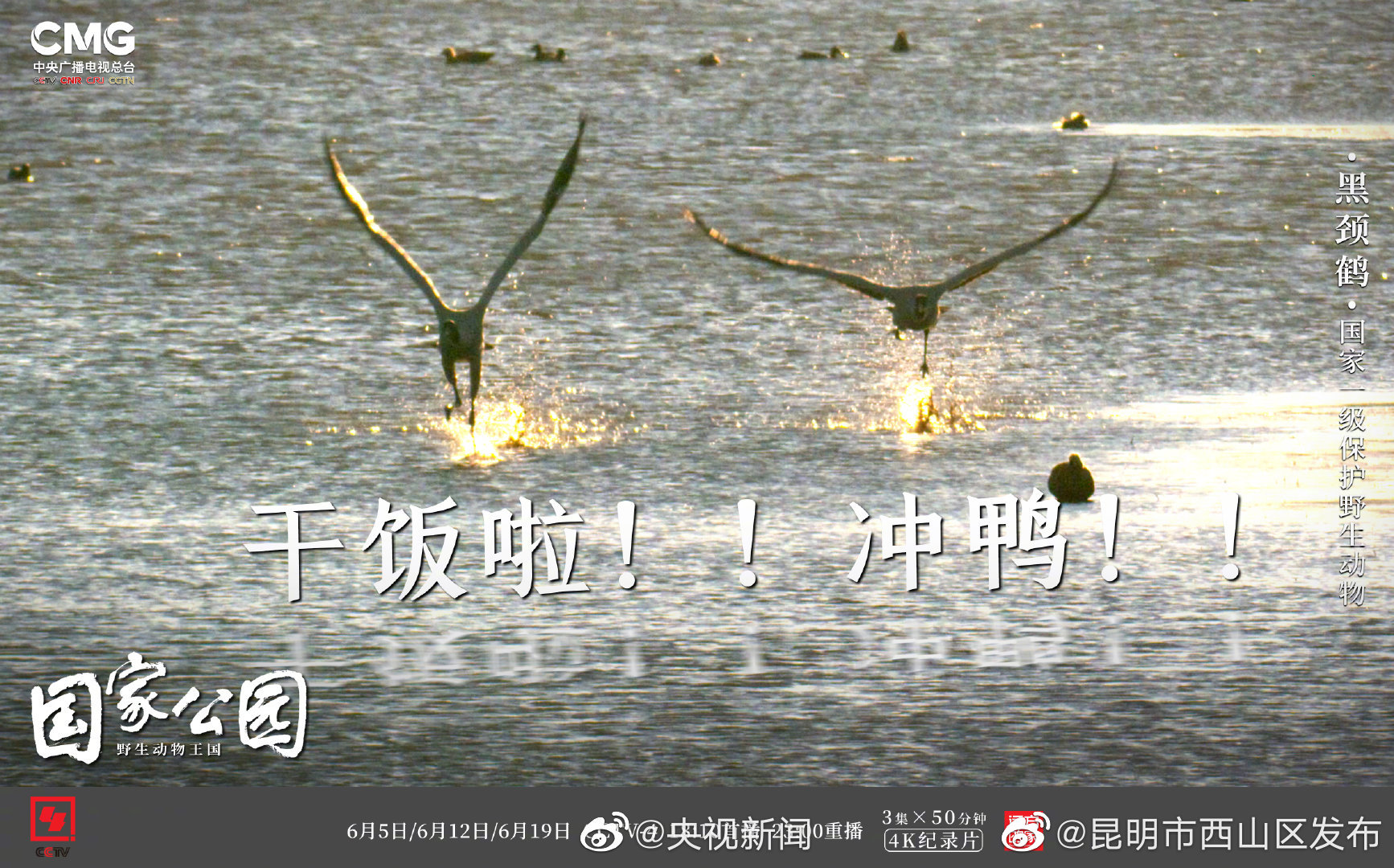 “昆明市西山区发布”微博