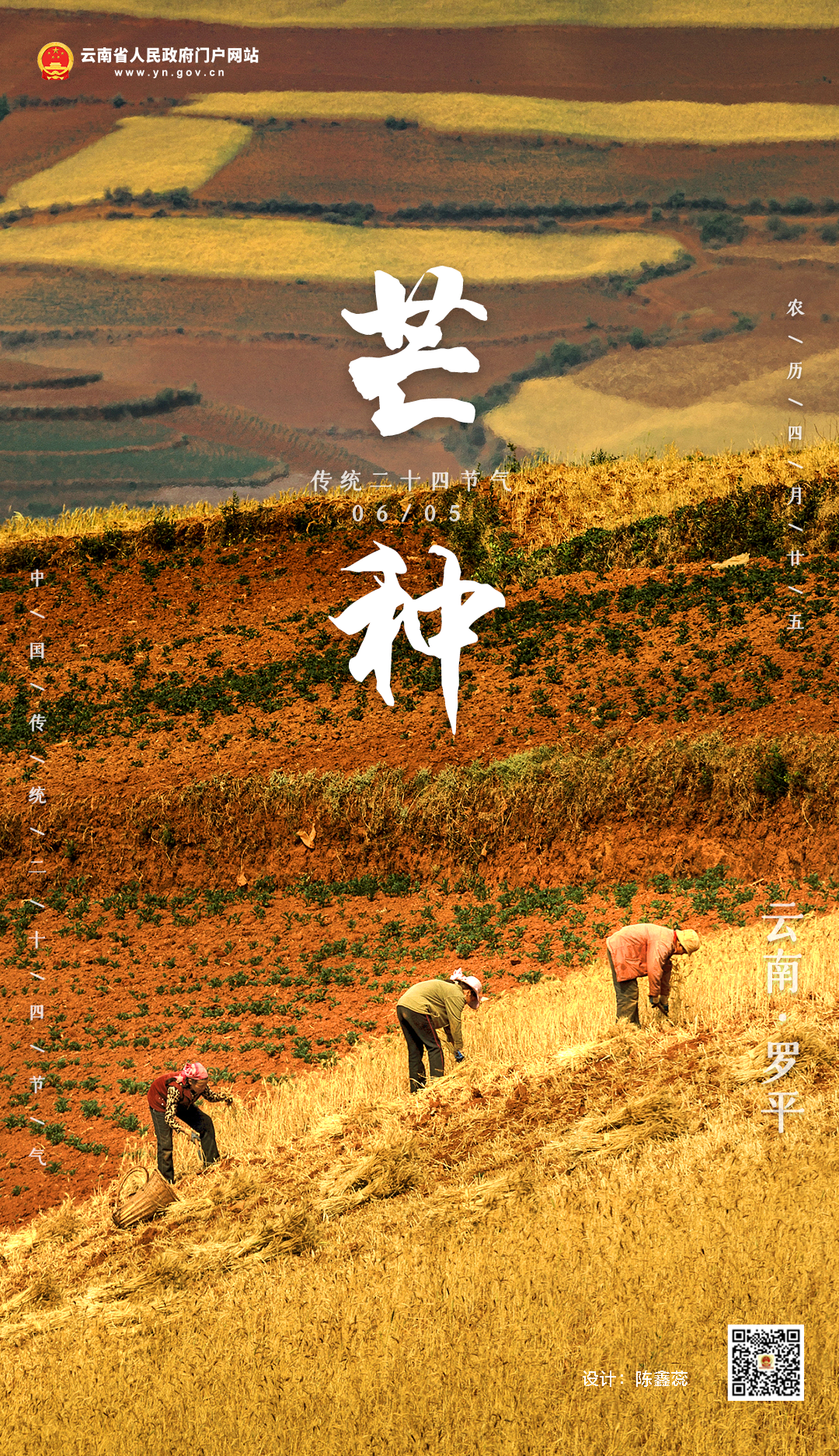云南省人民政府网
