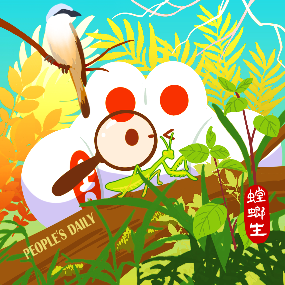 玉溪发布(微信)
