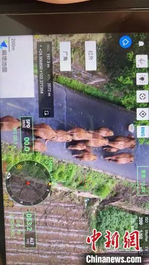 云南信息报(微信)