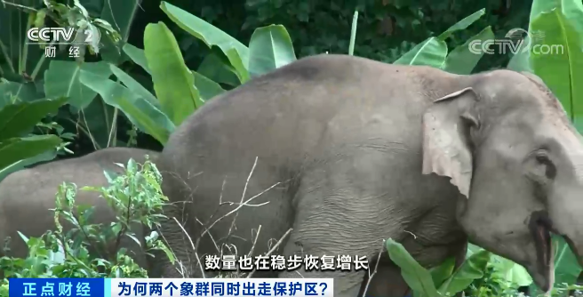 云南信息报(微信)