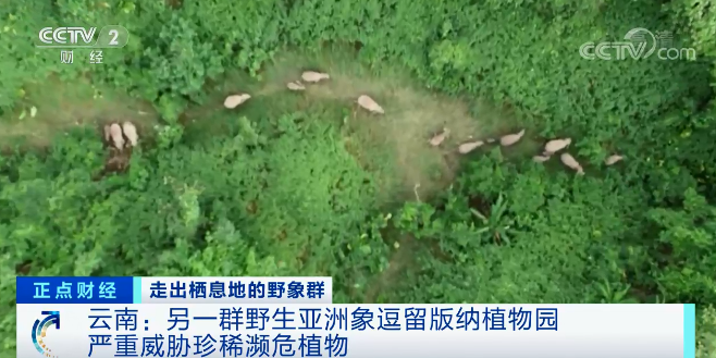 云南信息报(微信)