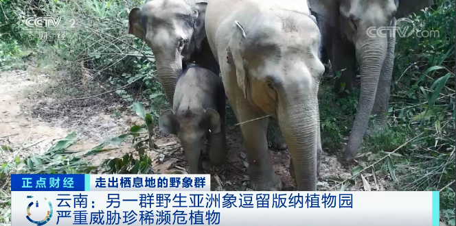 云南信息报(微信)