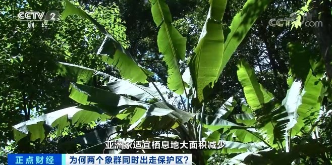 云南信息报(微信)