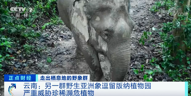 云南信息报(微信)