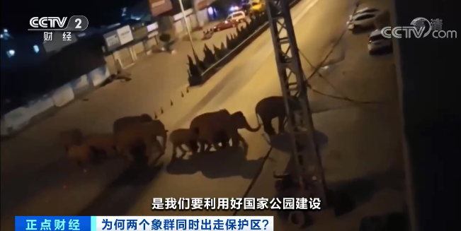 云南信息报(微信)