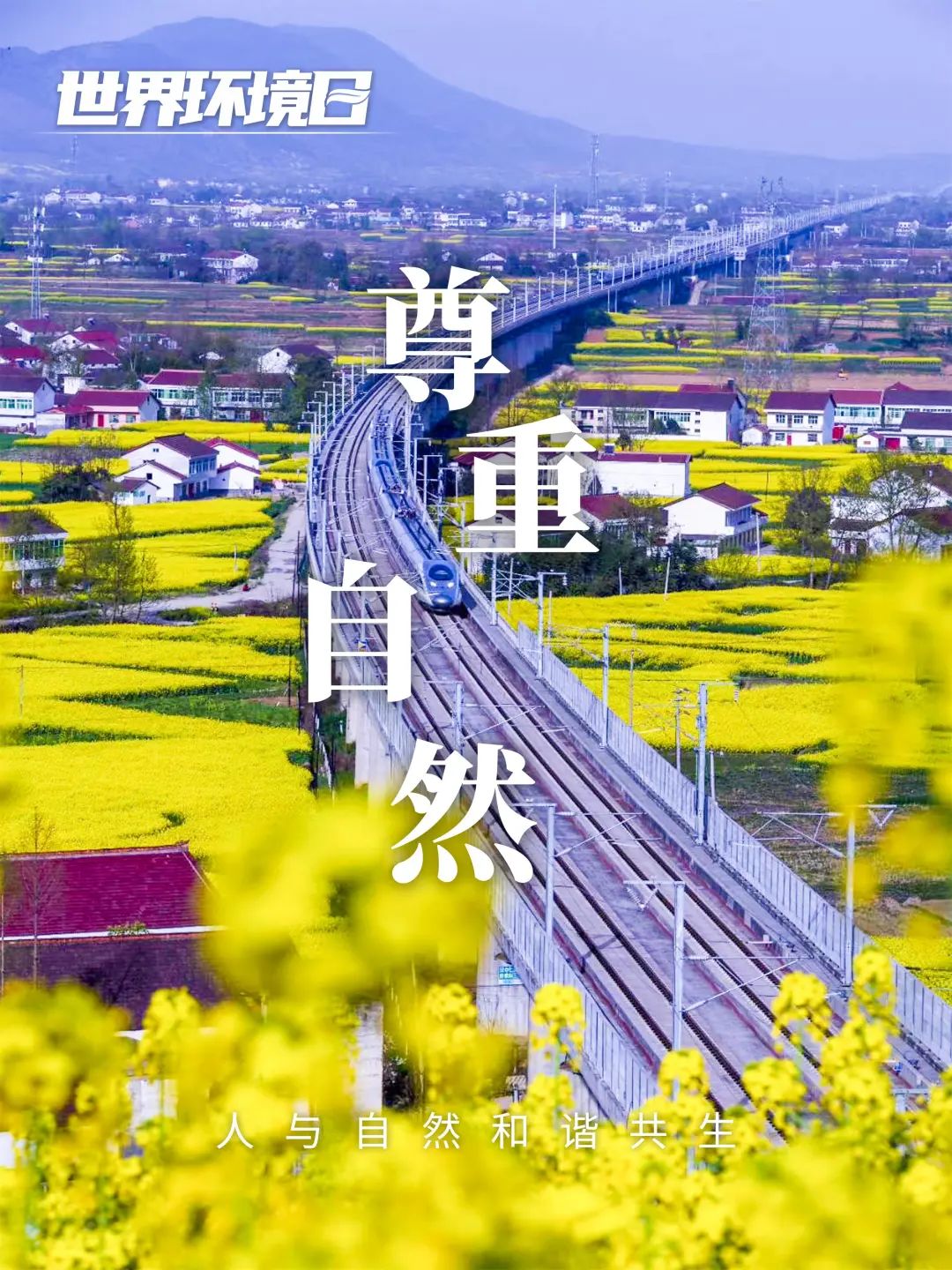 昆明铁路(微信)
