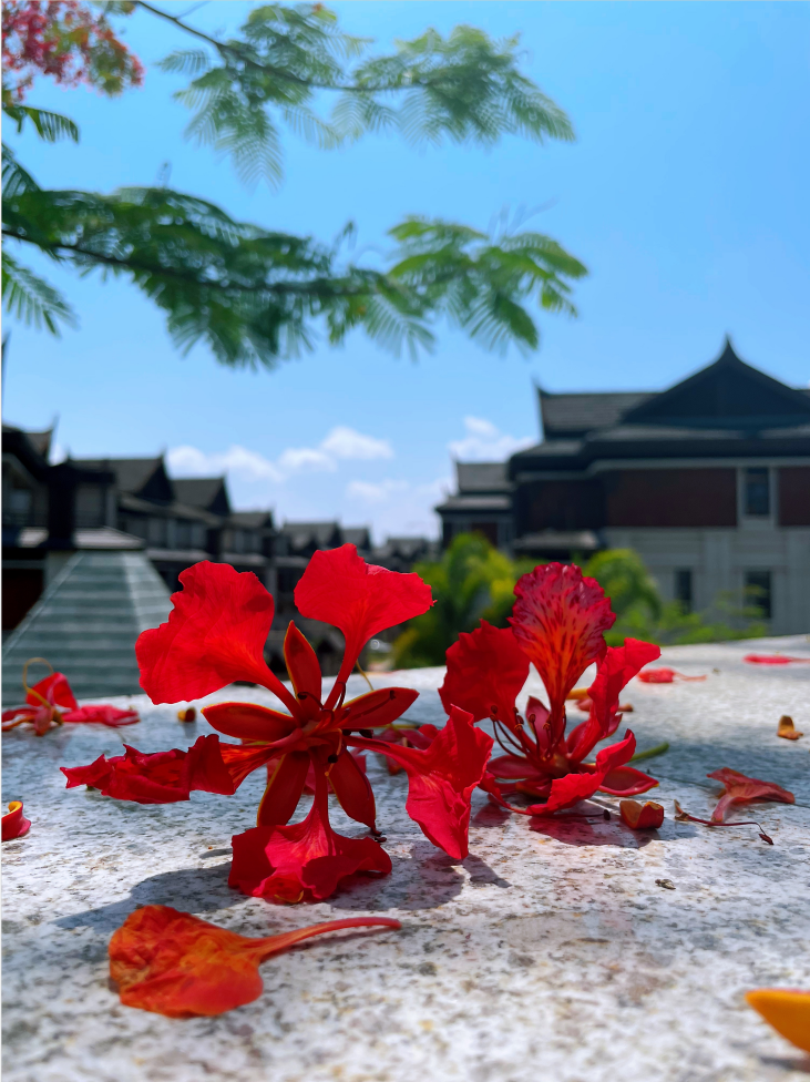 德宏团结报(微信)