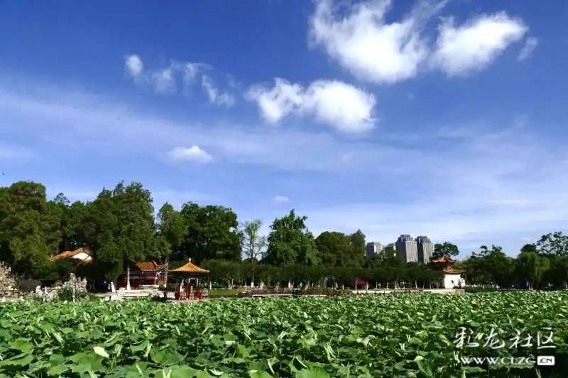 大观楼