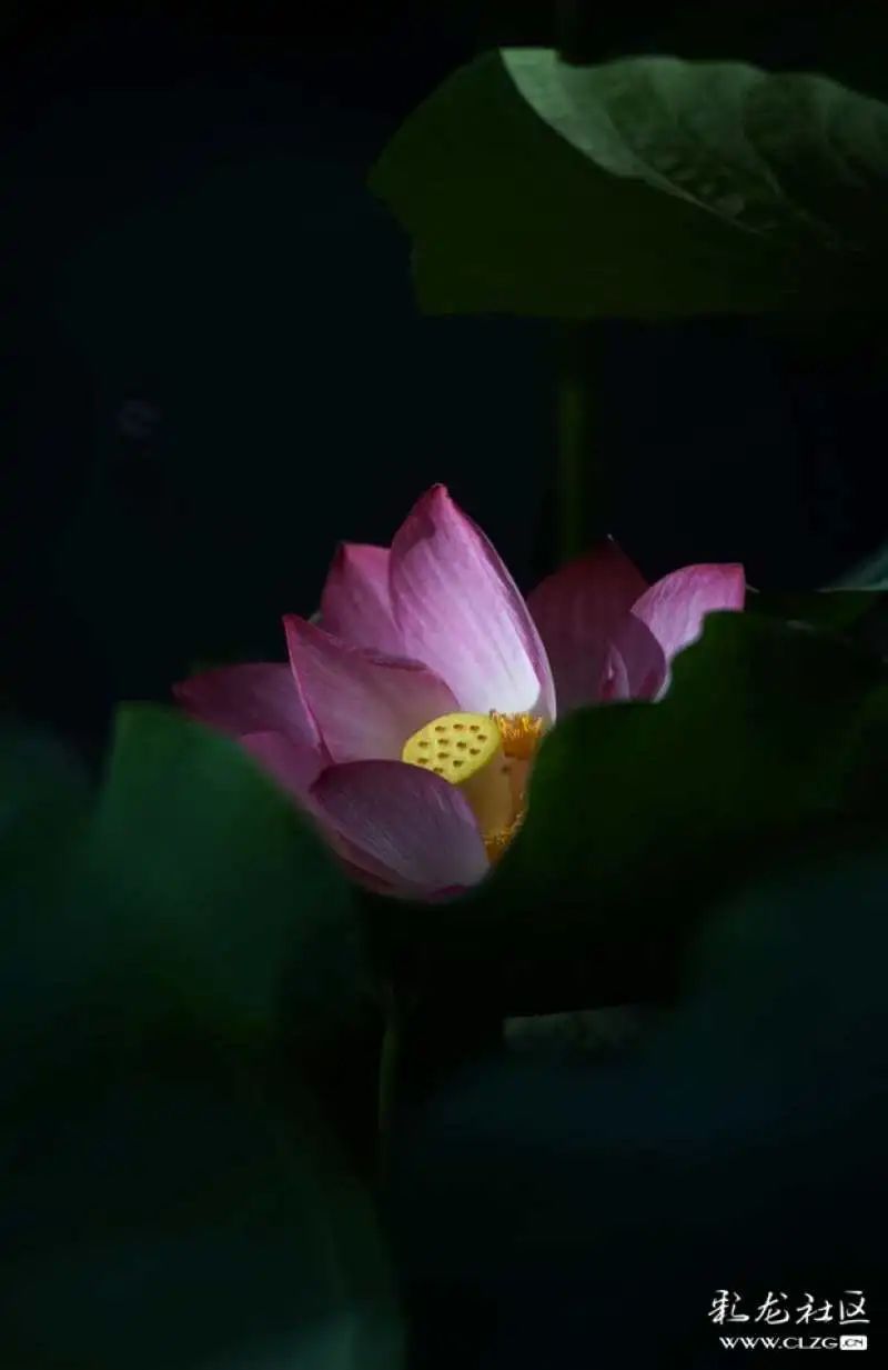 大观楼