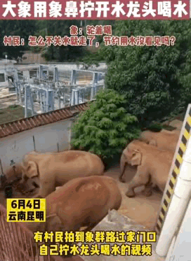 “昆明晋宁发布”微博