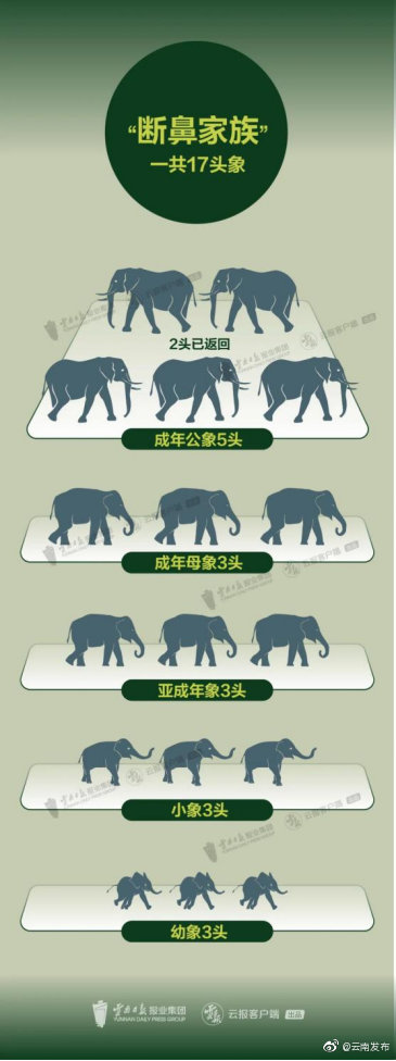 一起来了解“大象旅行团”的故事