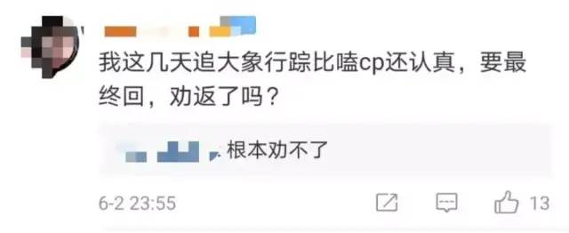 掌上春城(微信)