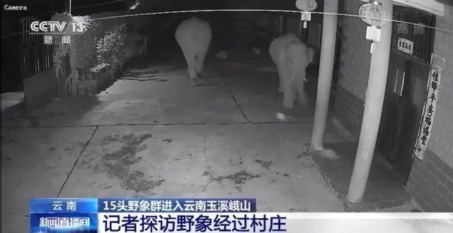 掌上春城(微信)