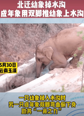 掌上春城(微信)