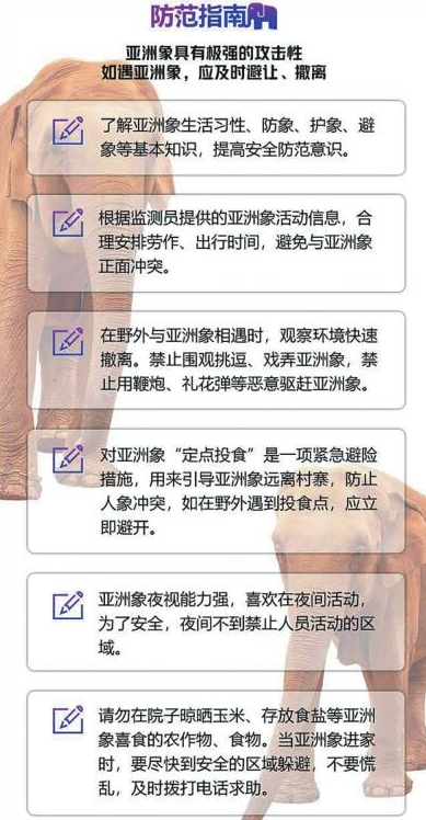 掌上春城(微信)
