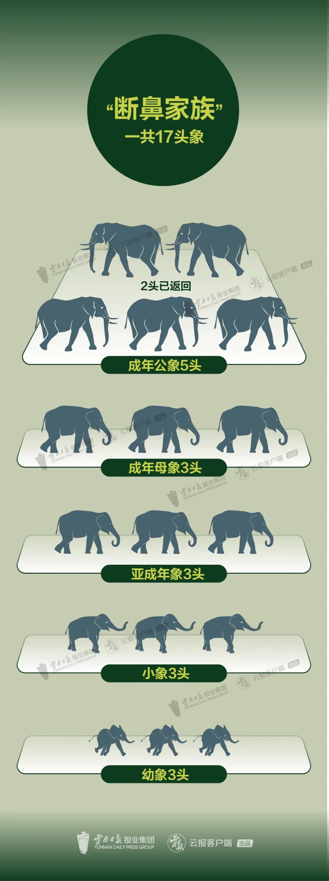 掌上春城(微信)