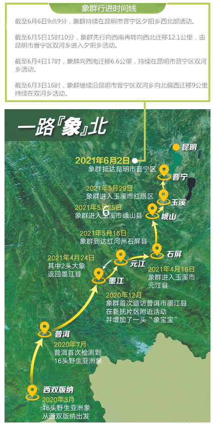 掌上春城(微信)