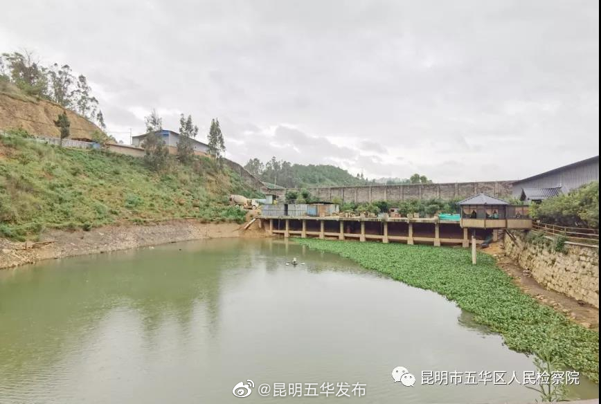 “昆明五华发布”微博