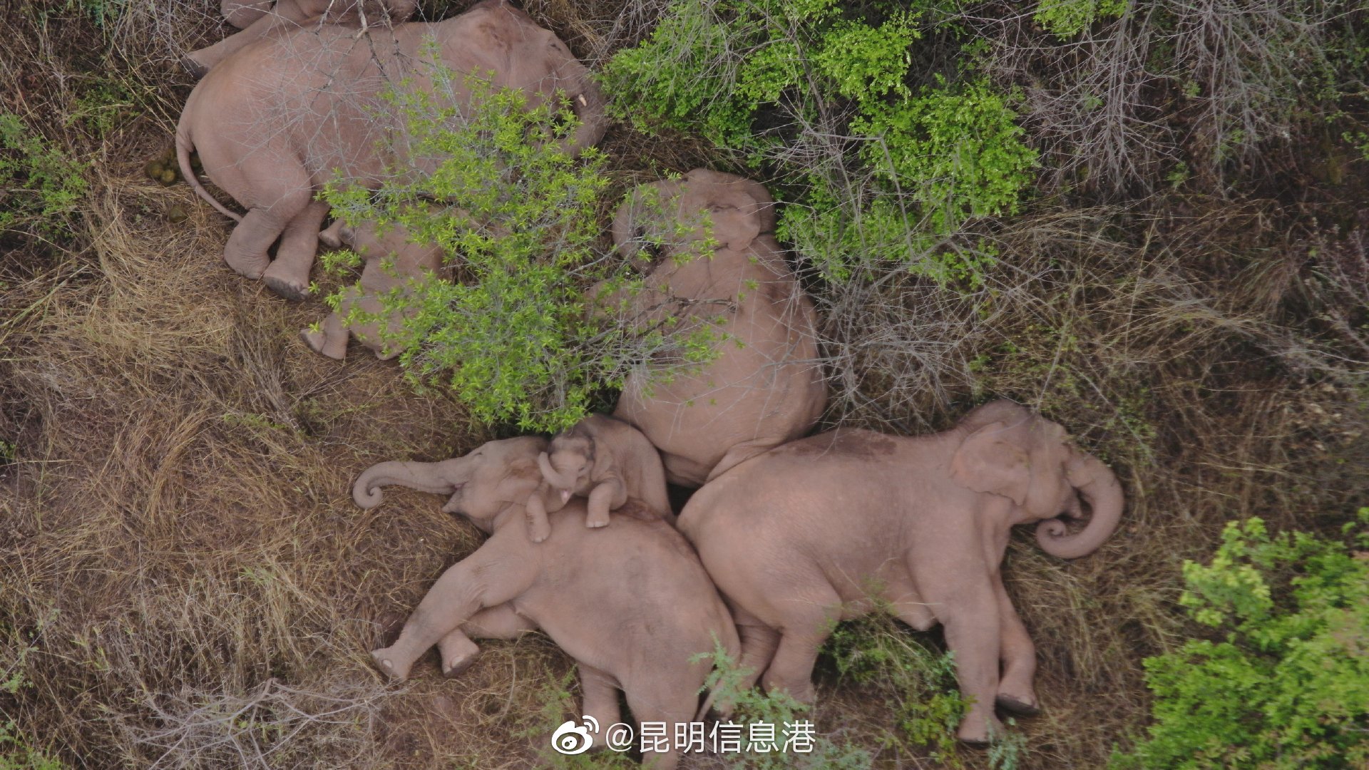 昆明信息港微博