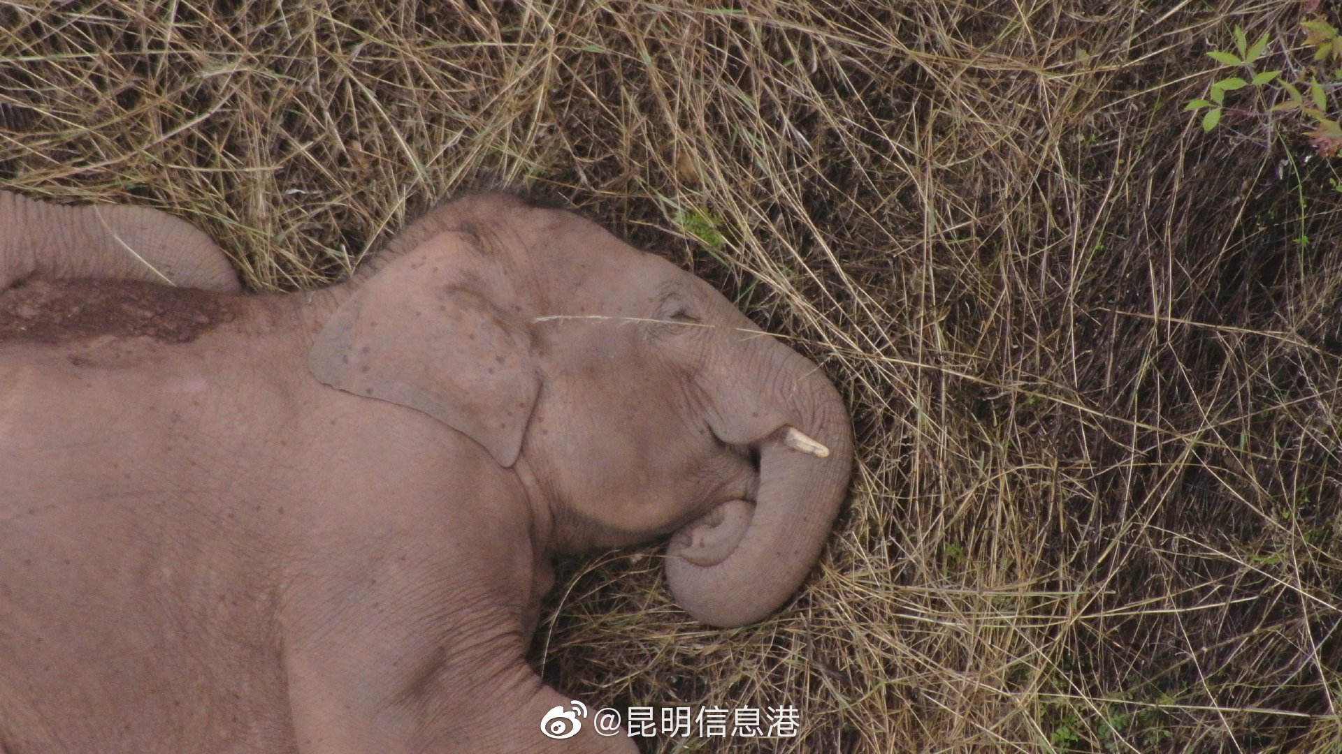 昆明信息港微博
