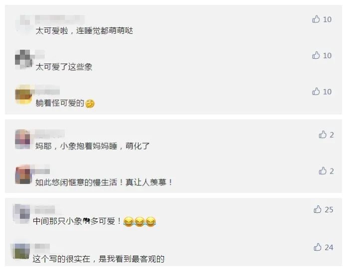 掌上春城(微信)