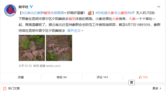 掌上春城(微信)