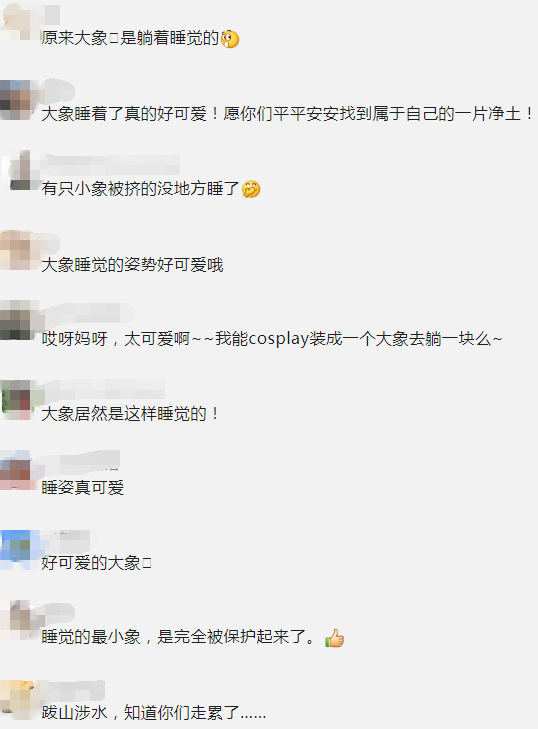 掌上春城(微信)