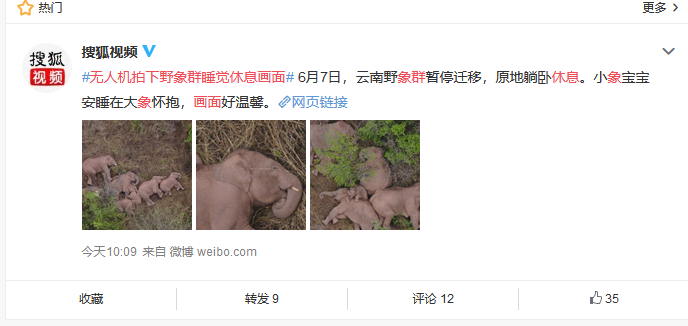 掌上春城(微信)
