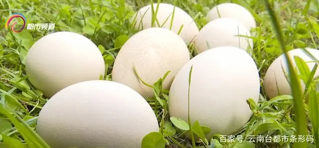 昆明信息港(微信)