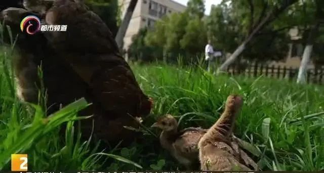 昆明信息港(微信)