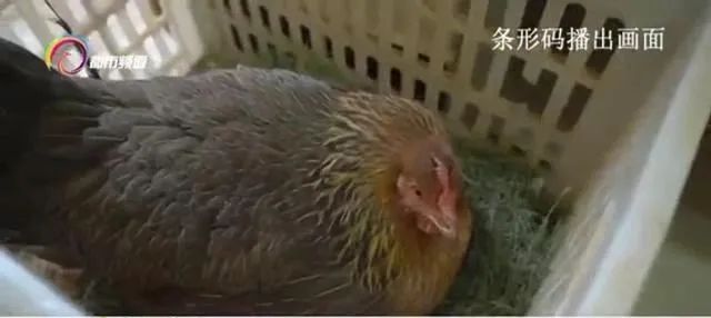 昆明信息港(微信)