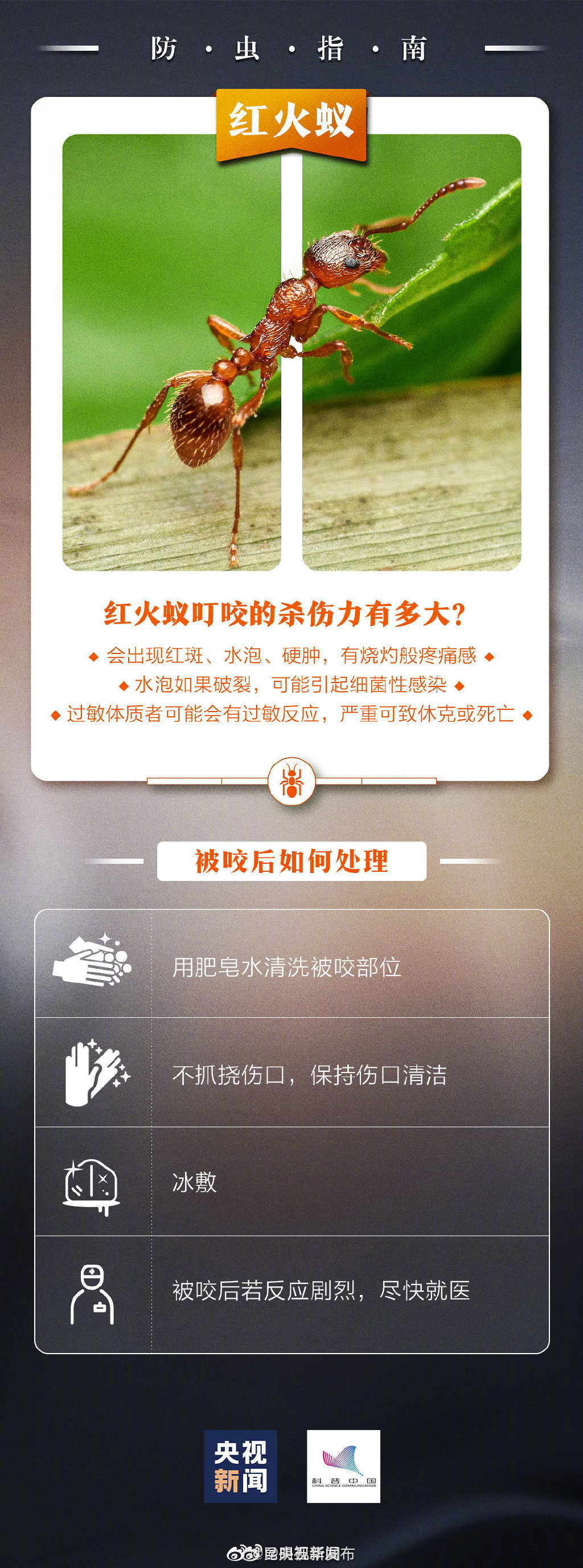 “昆明五华发布”微博