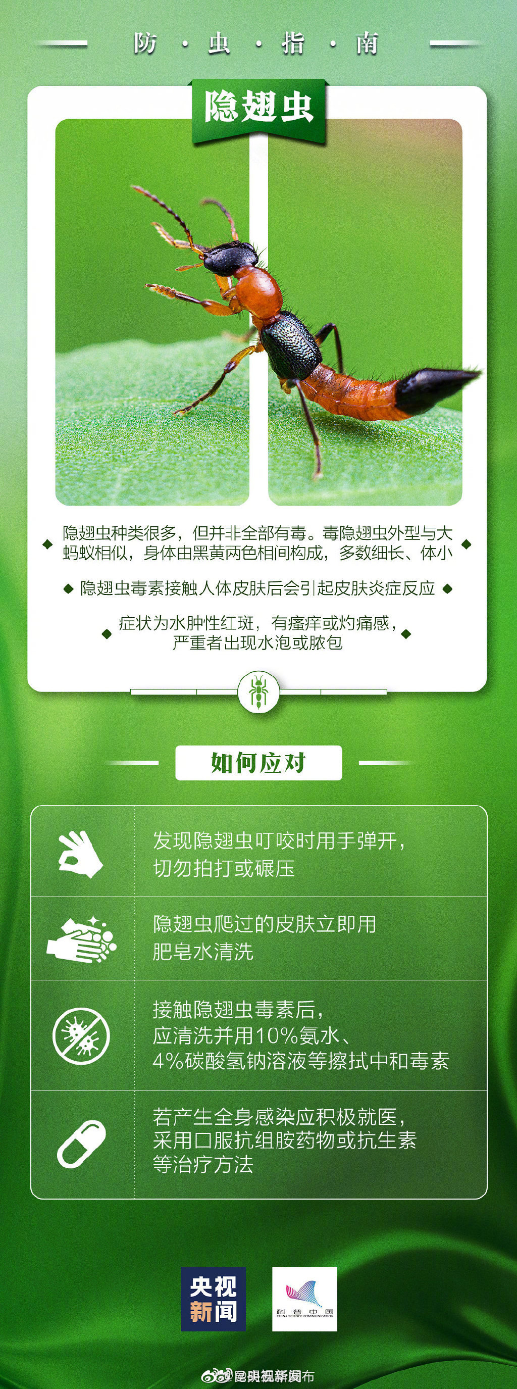 “昆明五华发布”微博