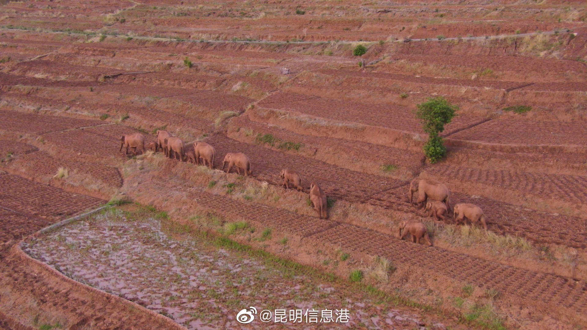 昆明信息港微博