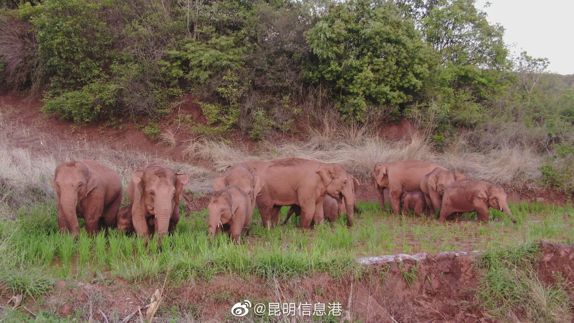 昆明信息港微博