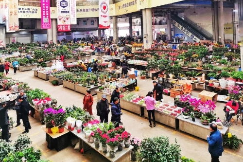 昆明市文化和旅游局