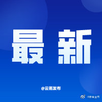 北迁象群进入玉溪市易门县