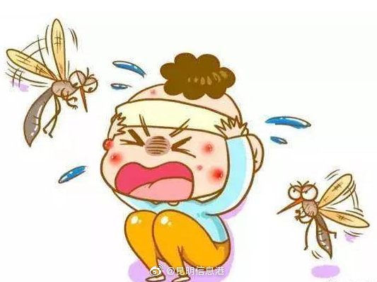 省疾控中心提示注意防蚊灭蚊