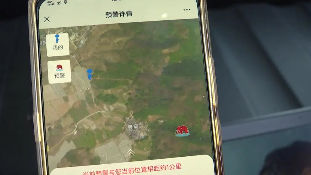 掌上春城(微信)
