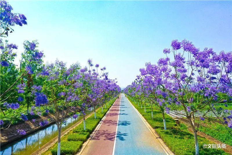 红河文旅(微信)