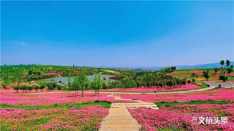 红河文旅(微信)