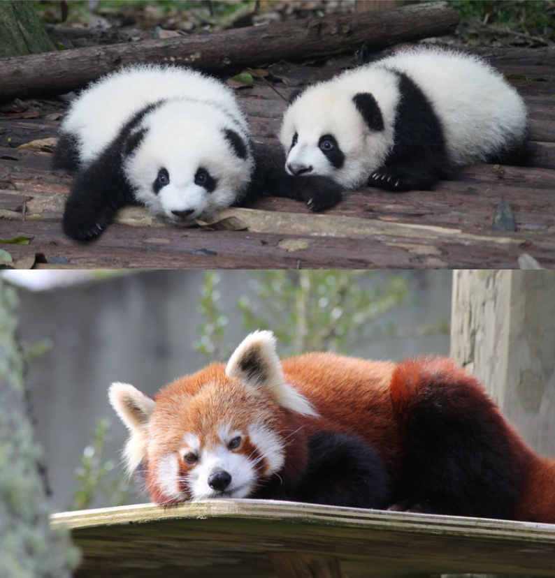 科普中国