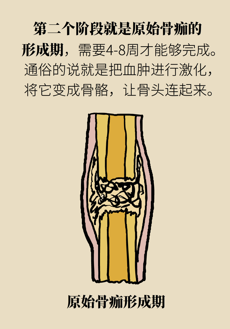 科普中国