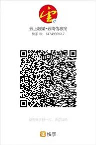 云南信息报(微信)
