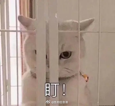 昆明信息港微博